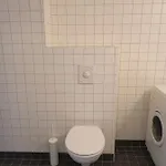 Veversmauet *