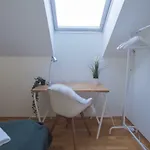 Veversmauet Bergen